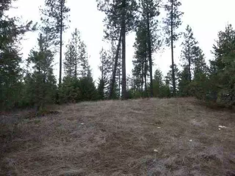12903 E Dodge Ln, Elk, WA 99009 photo 2