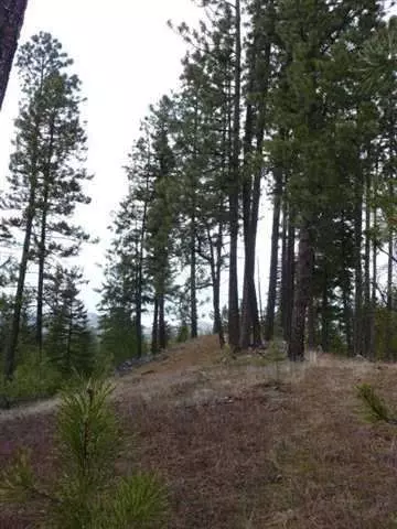12903 E Dodge Ln, Elk, WA 99009 photo 4