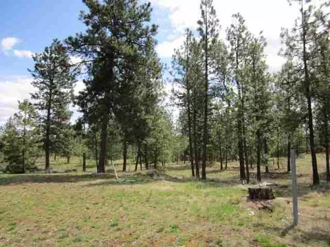 920 E Stutler Rd, Spangle, WA 99031 photo 16