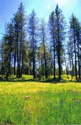412 W Cameron Rd, Spangle, WA 99031 photo 3