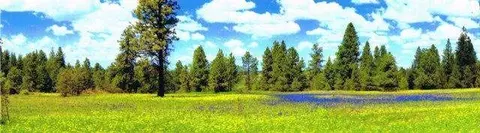 412 W Cameron Rd, Spangle, WA 99031 photo 4