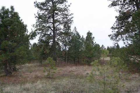 15026 S Stentz Rd, Spangle, WA 99031 photo 15