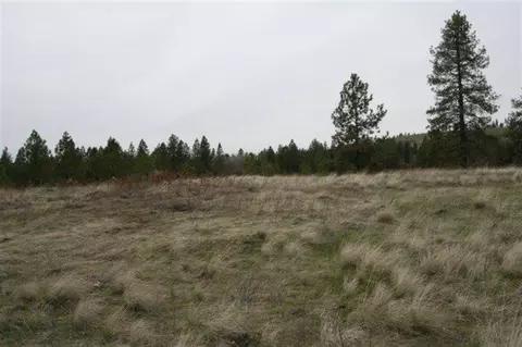 15026 S Stentz Rd, Spangle, WA 99031 photo 13