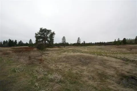 15026 S Stentz Rd, Spangle, WA 99031 photo 1