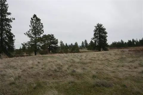 15026 S Stentz Rd, Spangle, WA 99031 photo 16