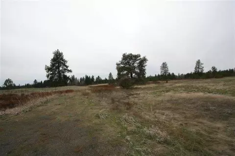 15026 S Stentz Rd, Spangle, WA 99031 photo 3