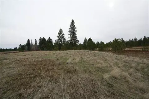 15026 S Stentz Rd, Spangle, WA 99031 photo 18