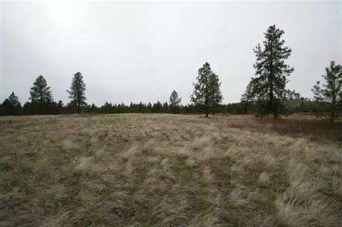 15026 S Stentz Rd, Spangle, WA 99031 photo 11