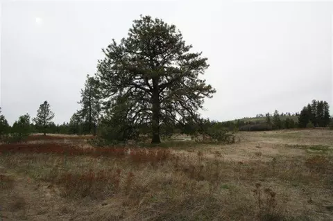 15026 S Stentz Rd, Spangle, WA 99031 photo 20