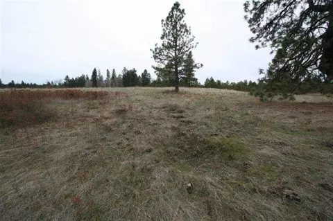 15026 S Stentz Rd, Spangle, WA 99031 photo 19