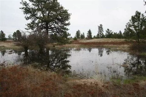 15026 S Stentz Rd, Spangle, WA 99031 photo 2