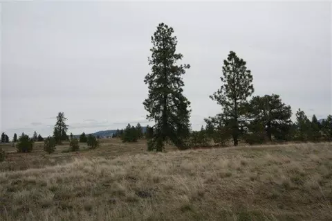 15026 S Stentz Rd, Spangle, WA 99031 photo 17