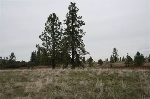 15026 S Stentz Rd, Spangle, WA 99031 photo 14