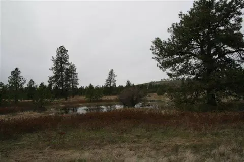 15026 S Stentz Rd, Spangle, WA 99031 photo 7