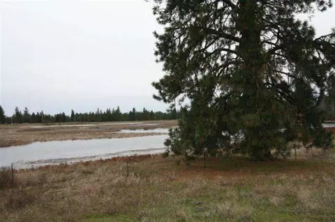 15026 S Stentz Rd, Spangle, WA 99031 photo 5