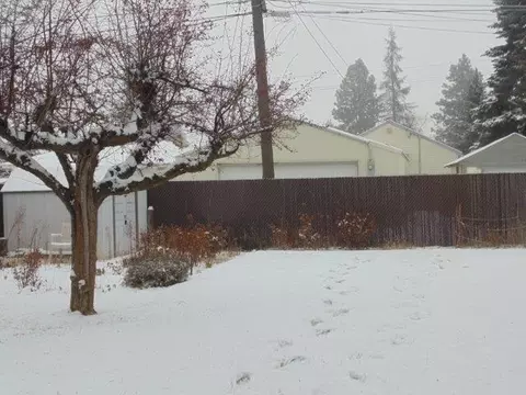 4111 E 5th Ave, Spokane, WA 99223 photo 4