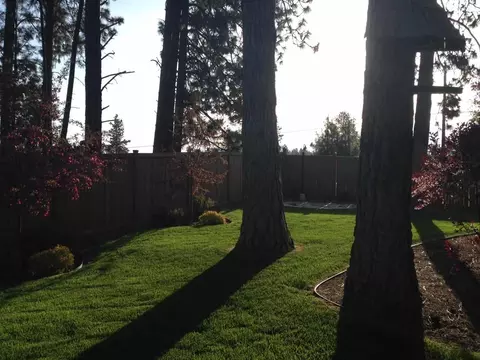 527 E Midway Rd, Colbert, WA 99005 photo 20