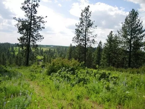 15517 E Temple Rd, Spokane, WA 99217 photo 5