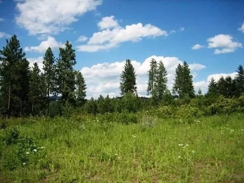 15517 E Temple Rd, Spokane, WA 99217 photo 2