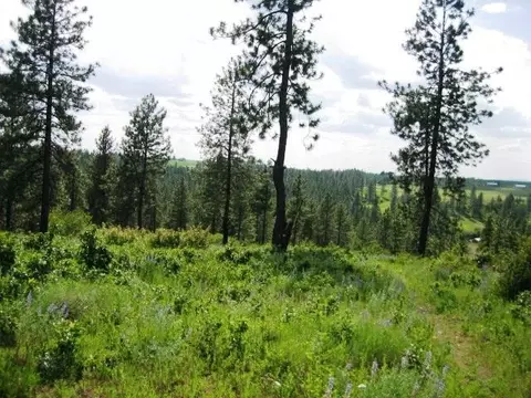 15517 E Temple Rd, Spokane, WA 99217 photo 6