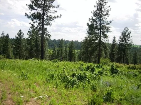 15517 E Temple Rd, Spokane, WA 99217 photo 7
