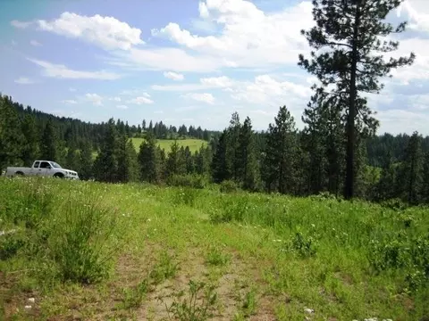 15517 E Temple Rd, Spokane, WA 99217 photo 8