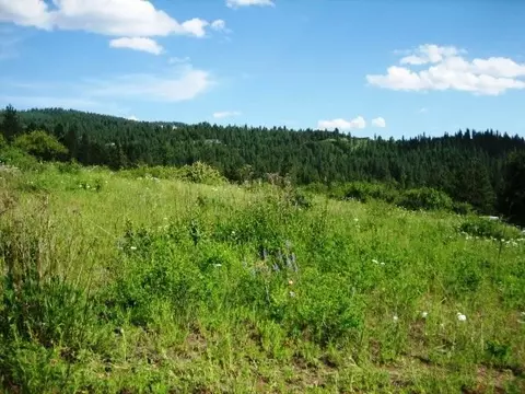 15517 E Temple Rd, Spokane, WA 99217 photo 10