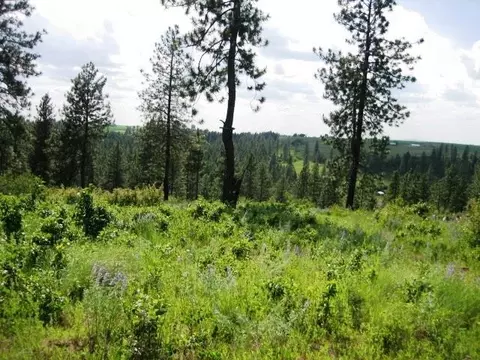 15517 E Temple Rd, Spokane, WA 99217 photo 12