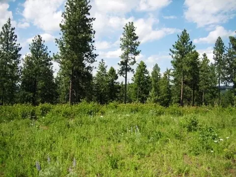 15517 E Temple Rd, Spokane, WA 99217 photo 3