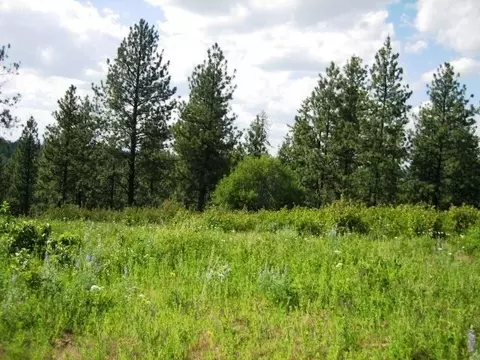 15517 E Temple Rd, Spokane, WA 99217 photo 4