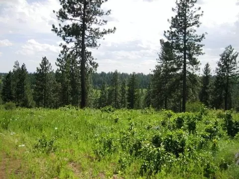15517 E Temple Rd, Spokane, WA 99217 photo 13
