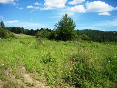 15517 E Temple Rd, Spokane, WA 99217 photo 11