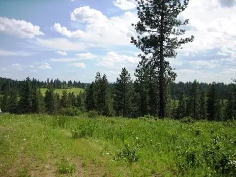 15517 E Temple Rd, Spokane, WA 99217 photo 14