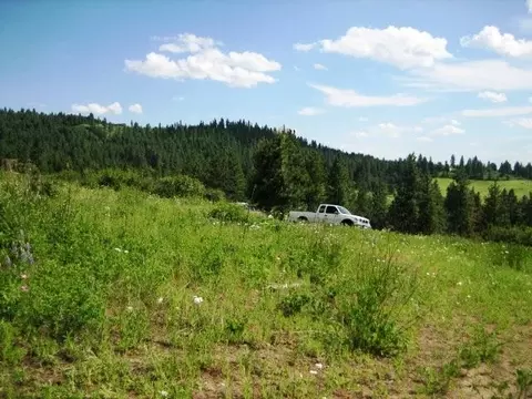 15517 E Temple Rd, Spokane, WA 99217 photo 9