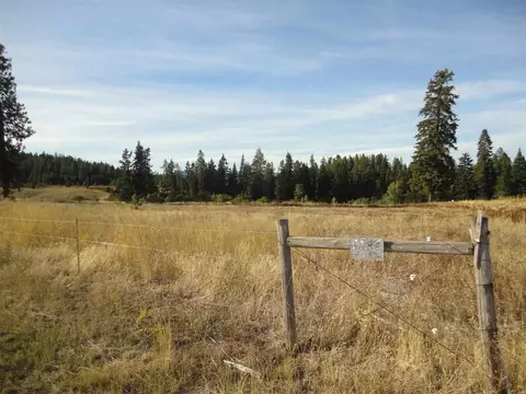 20007 N Hazard Rd, Spokane, WA 99208 photo 4