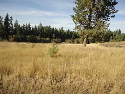 20007 N Hazard Rd, Spokane, WA 99208 photo 2