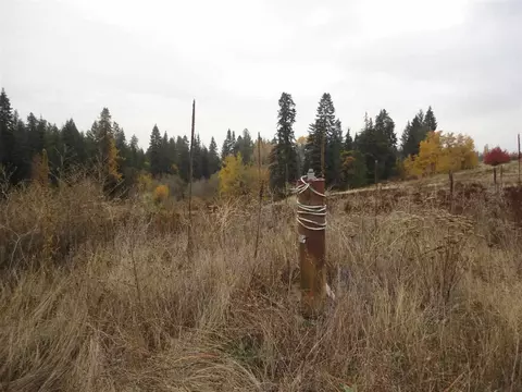 20007 N Hazard Rd, Spokane, WA 99208 photo 7