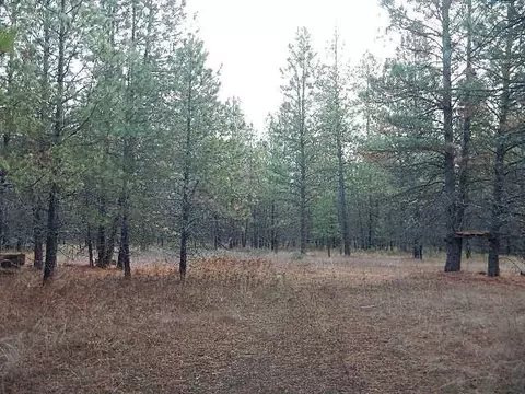 3111 E Oregon Rd, Elk, WA 99009 photo 2