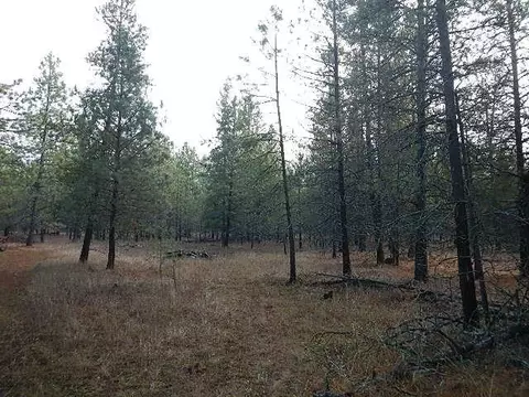 3111 E Oregon Rd, Elk, WA 99009 photo 8
