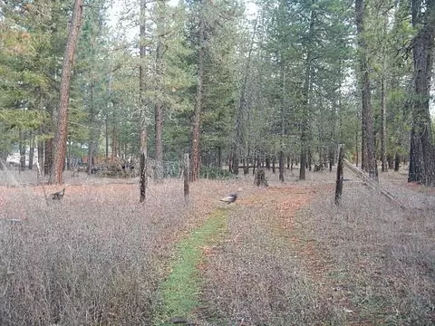 3111 E Oregon Rd, Elk, WA 99009 photo 9