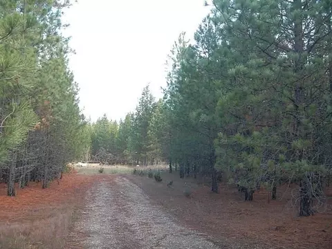 3111 E Oregon Rd, Elk, WA 99009 photo 1