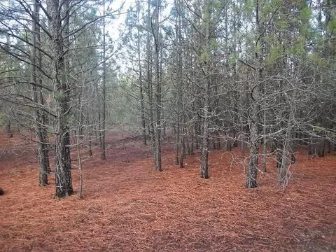 3111 E Oregon Rd, Elk, WA 99009 photo 5