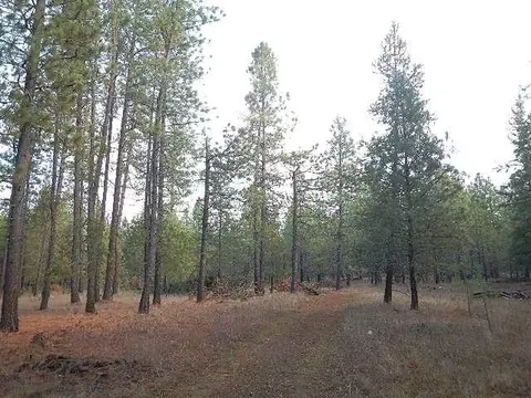 3111 E Oregon Rd, Elk, WA 99009 photo 4