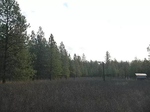 3111 E Oregon Rd, Elk, WA 99009 photo 3
