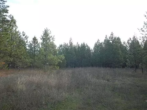 3111 E Oregon Rd, Elk, WA 99009 photo 10