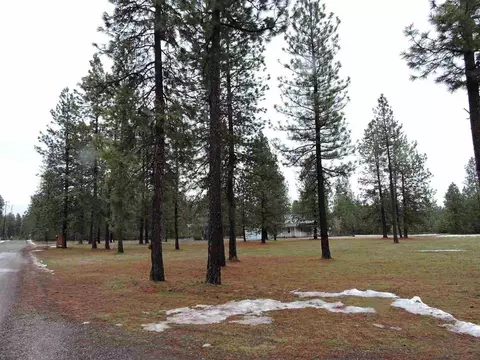 3614 E Pineland Rd, Colbert, WA 99005 photo 11