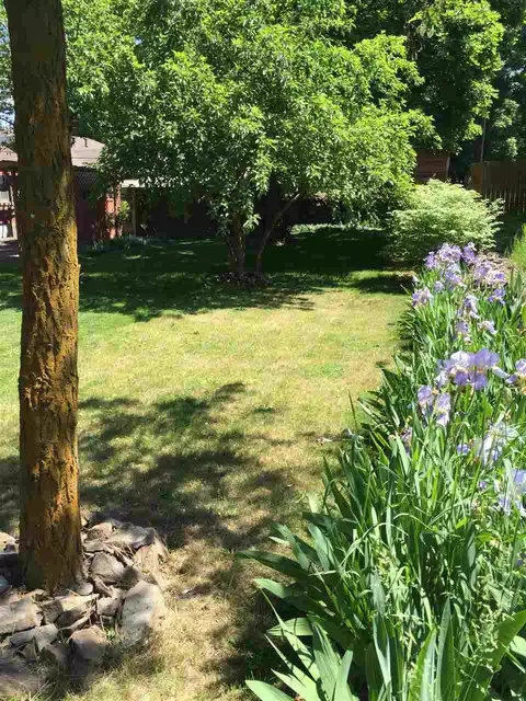 1008 E 5th Ave, Spokane, WA 99202 photo 19