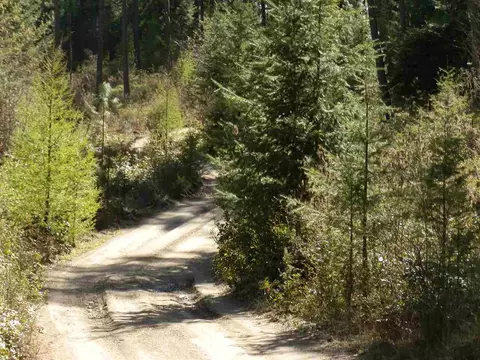 2016 Summit Valley Rd, Addy, WA 99101 photo 19