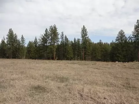 52050 Eagle View Ln, Ford, WA 99013 photo 4