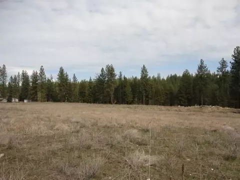 52050 Eagle View Ln, Ford, WA 99013 photo 7